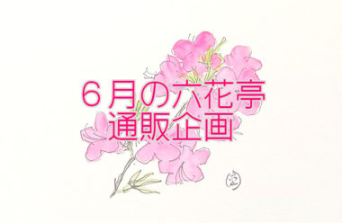 六花亭「通販おやつ屋さん」6月はボリュームアップ、生菓子も新登場