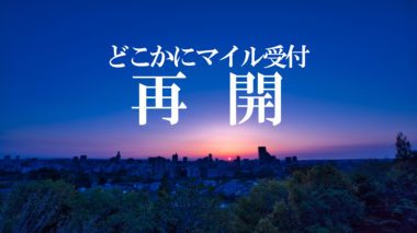 どこかにマイルの受付が19日再開!JTA羽田~宮古/石垣直行便も復活!