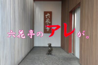 【値上げ情報】２０２４年１０月から六花亭のアレが爆上げになります